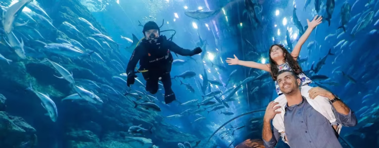 thumb_16290715_cover_header